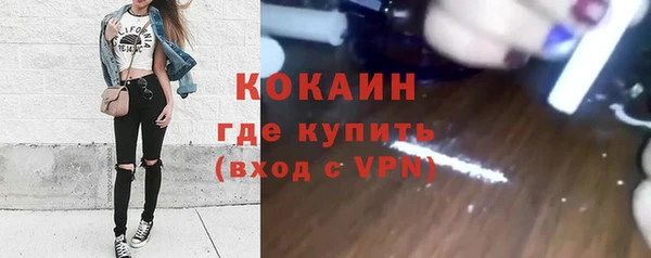 прущие грибы Кукмор