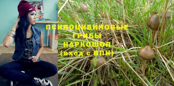 крисы Аркадак