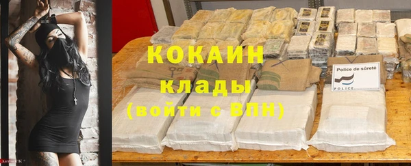 крисы Арсеньев